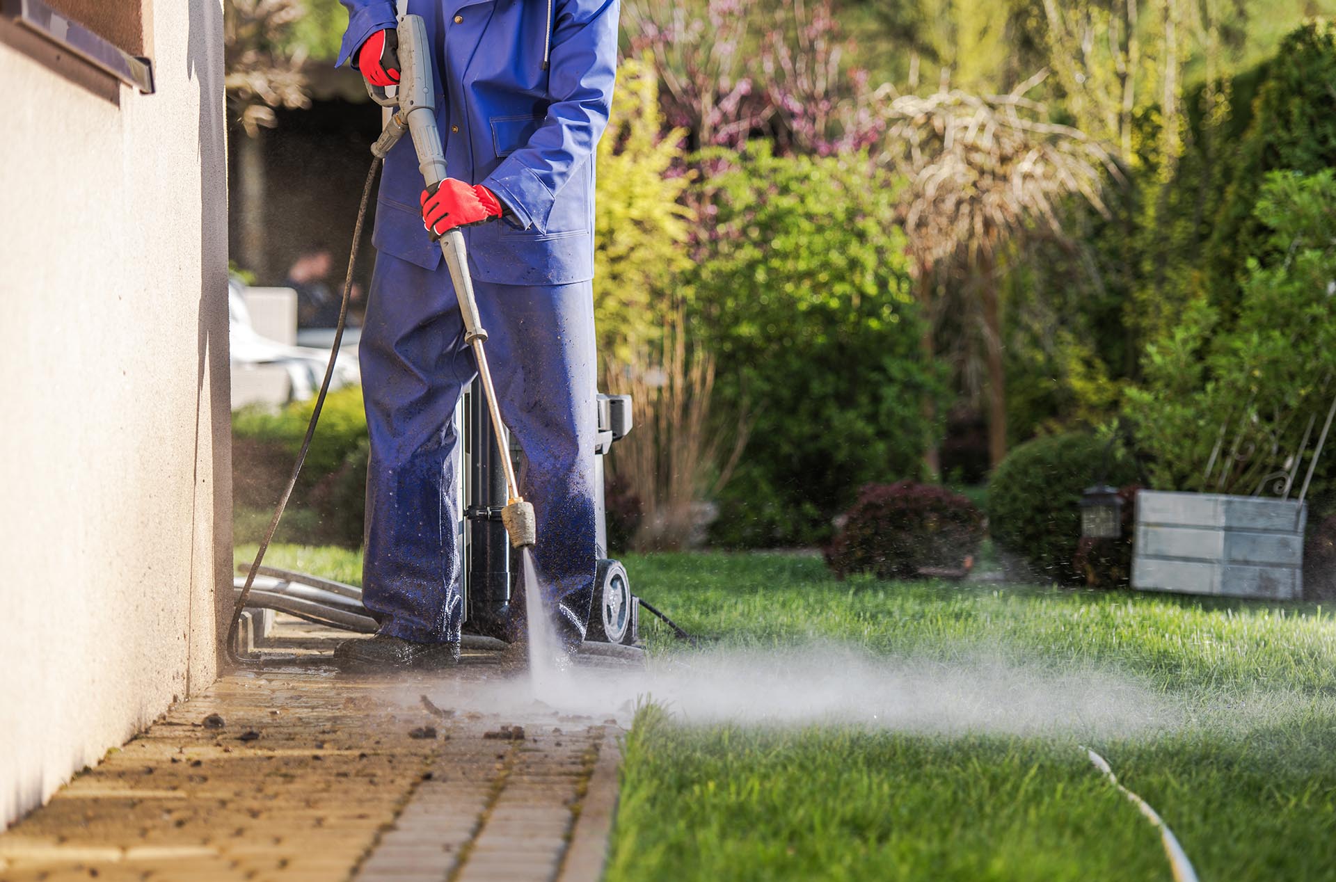 Gartenbewässerung und Pflege